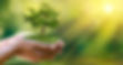 Earth-Day-History-Timeline-A207747770 (1).jpg