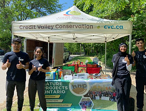 invasive species 2023 image #9.jpg
