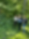 image83.png