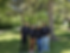 image106.png