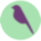 freedback